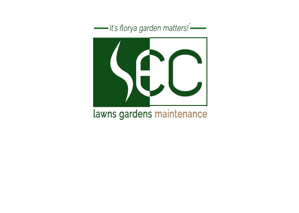 Logo Design by ShootingStar for this project | Design #6605294