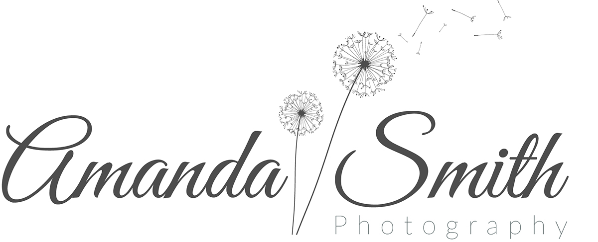 Logo Design by Darren Walker for Amanda Smith Photography | Design #6493591