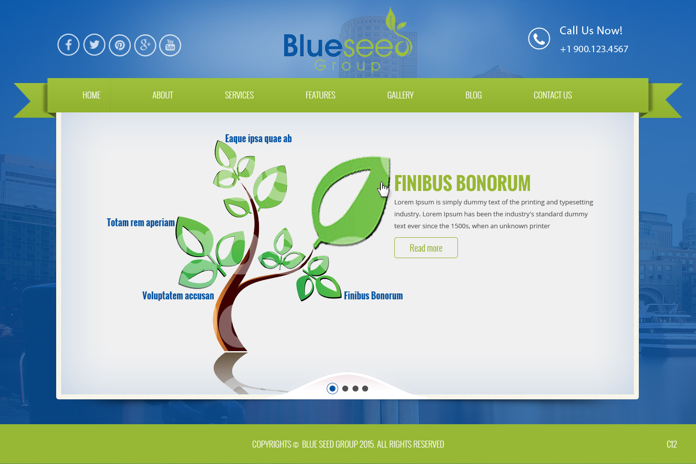 Diseño Web por pb para este proyecto | Diseño #6492311