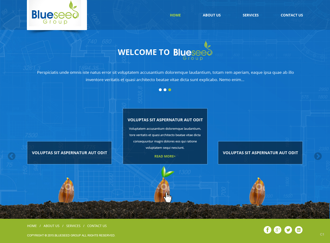 Diseño Web por pb para este proyecto | Diseño #6498666