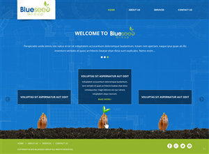 Web Design by pb for this project | Design: #6498666