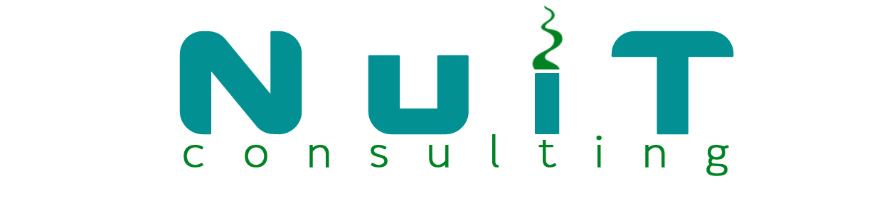 Design de Logo par NikoDesign pour Nu IT Consulting | Design #1716096