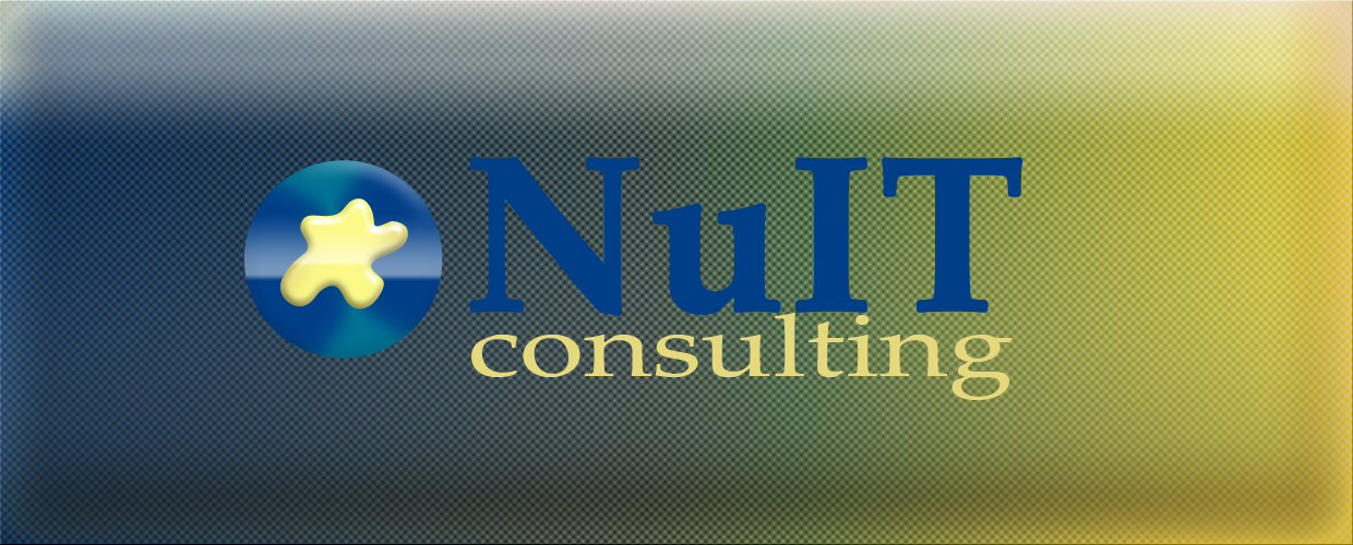Diseño de Logo por NikoDesign para Nu IT Consulting | Diseño #1720456