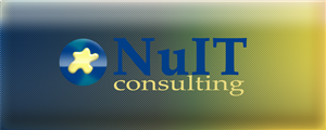 Diseño de Logo por NikoDesign para Nu IT Consulting | Diseño: #1720456