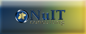Diseño de Logo por NikoDesign para Nu IT Consulting | Diseño: #1720511