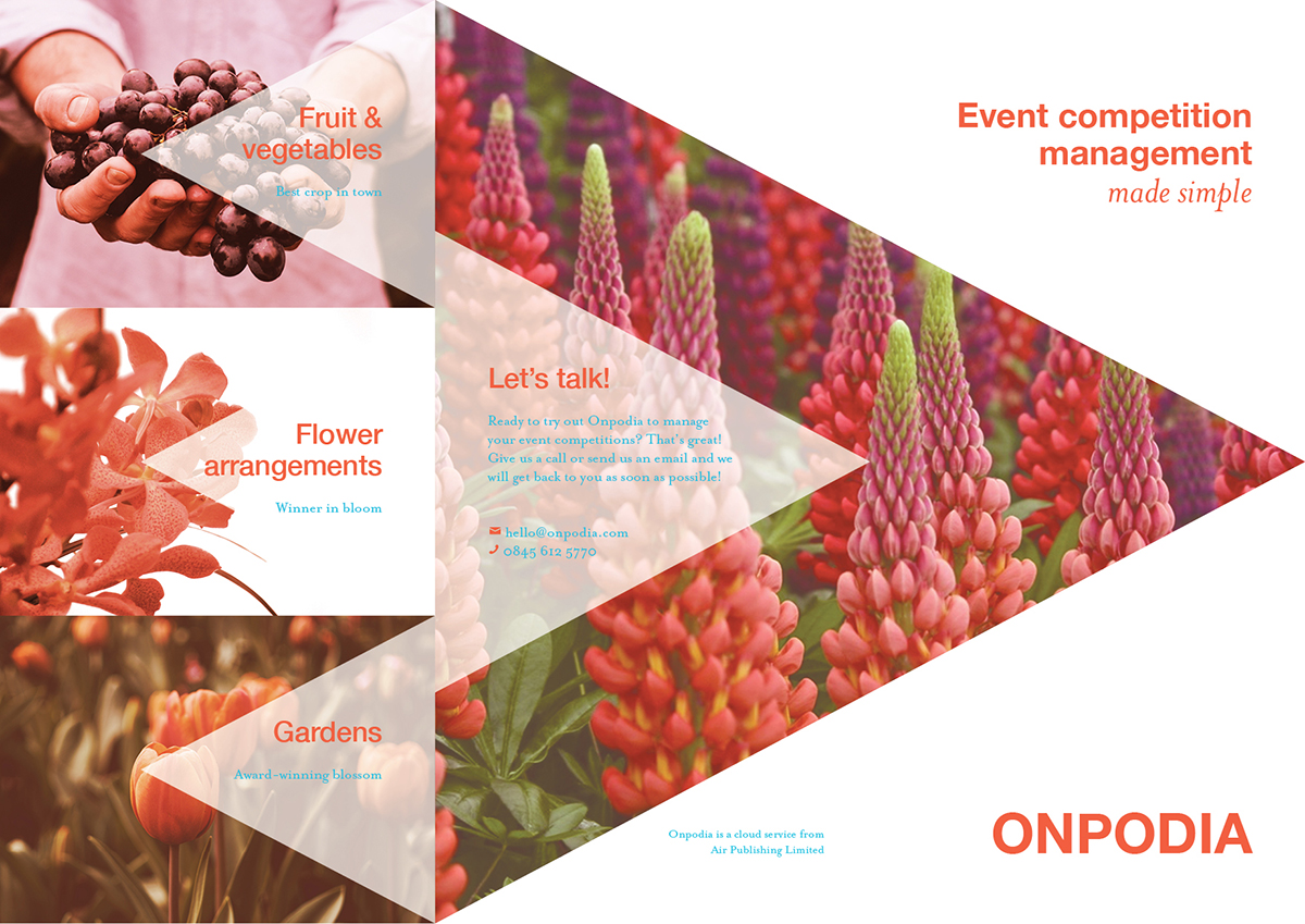 Flyer Design by Salanderskan for this project | Design #6605904