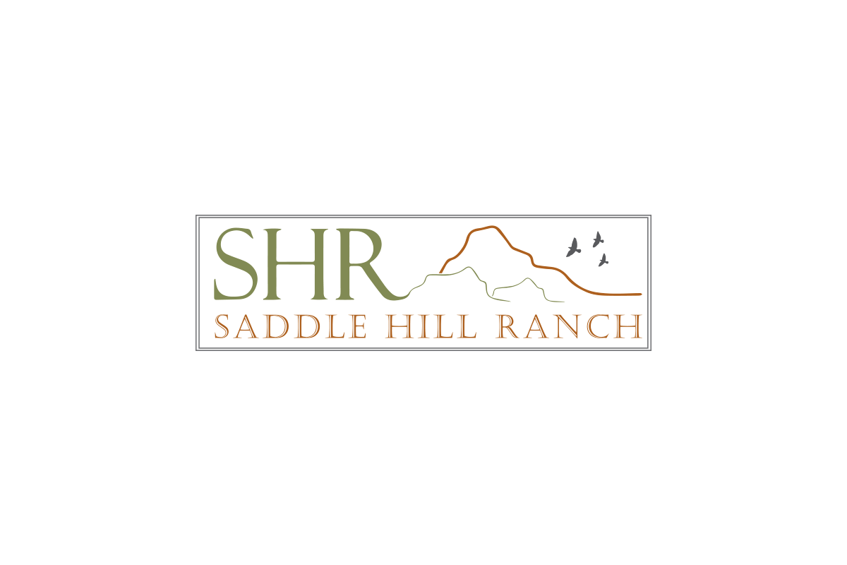 Logo Design by STOESKI_Design for this project | Design #6493534