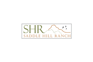 Logo Design by STOESKI_Design