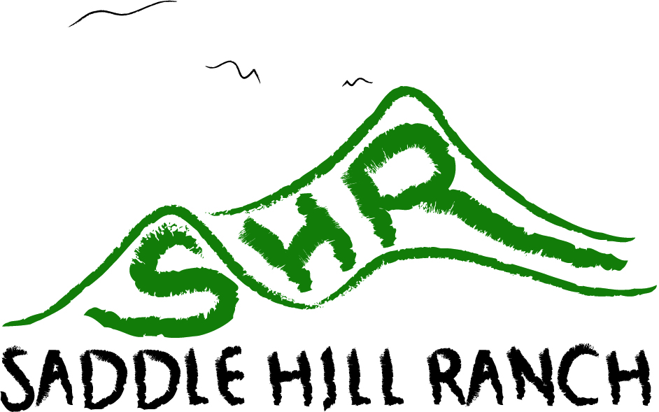 Logo Design by Jose J for this project | Design #6512044