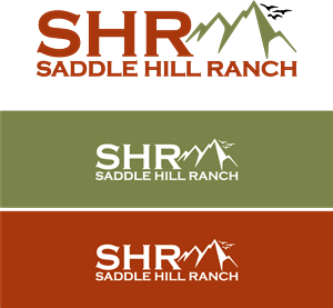 Logo Design by phraimsondesign