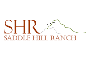 Logo Design by RM DSGNS for this project | Design #6478460