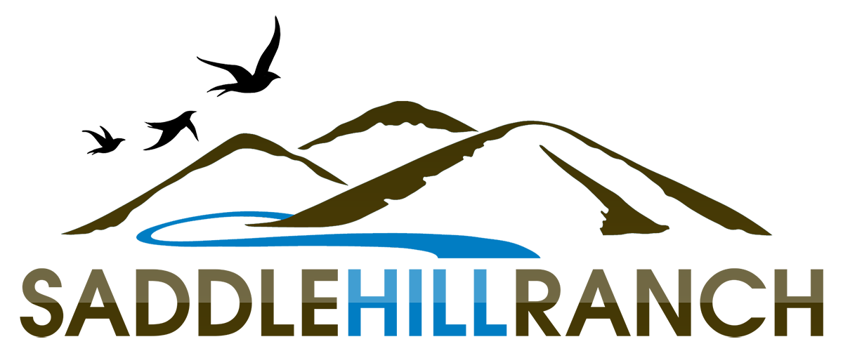 Logo Design by corei33220 for this project | Design #6477105