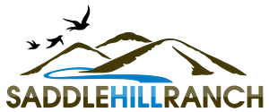 Logo-Design von corei33220 für dieses Projekt | Design: #6477105
