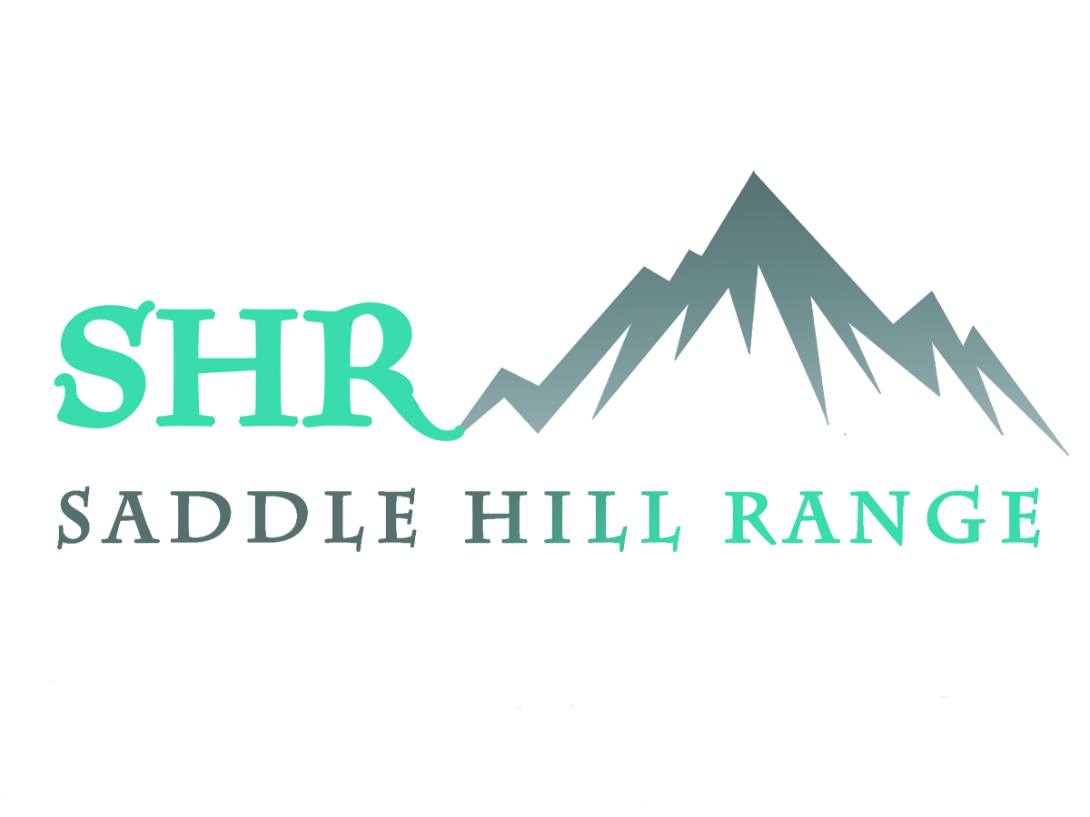 Logo Design by Robinzjoe for this project | Design #6476192