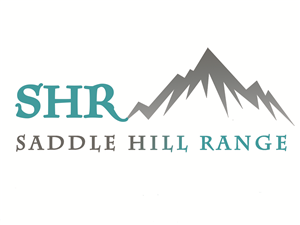 Logo Design by Robinzjoe for this project | Design #6476192