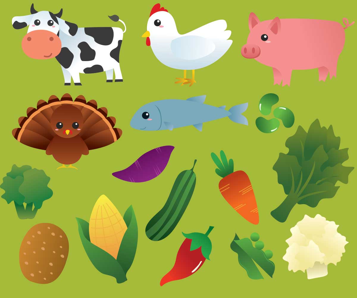 Illustration Design by saracdesigns for this project | Design #6571323