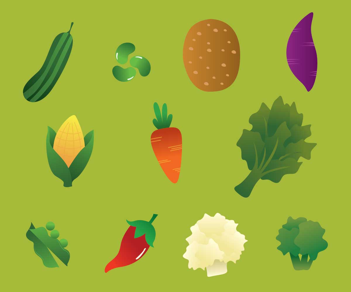 Illustration Design by saracdesigns for this project | Design #6571348