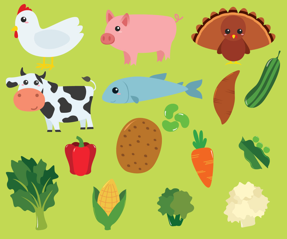 Illustration Design by saracdesigns for this project | Design #6599473