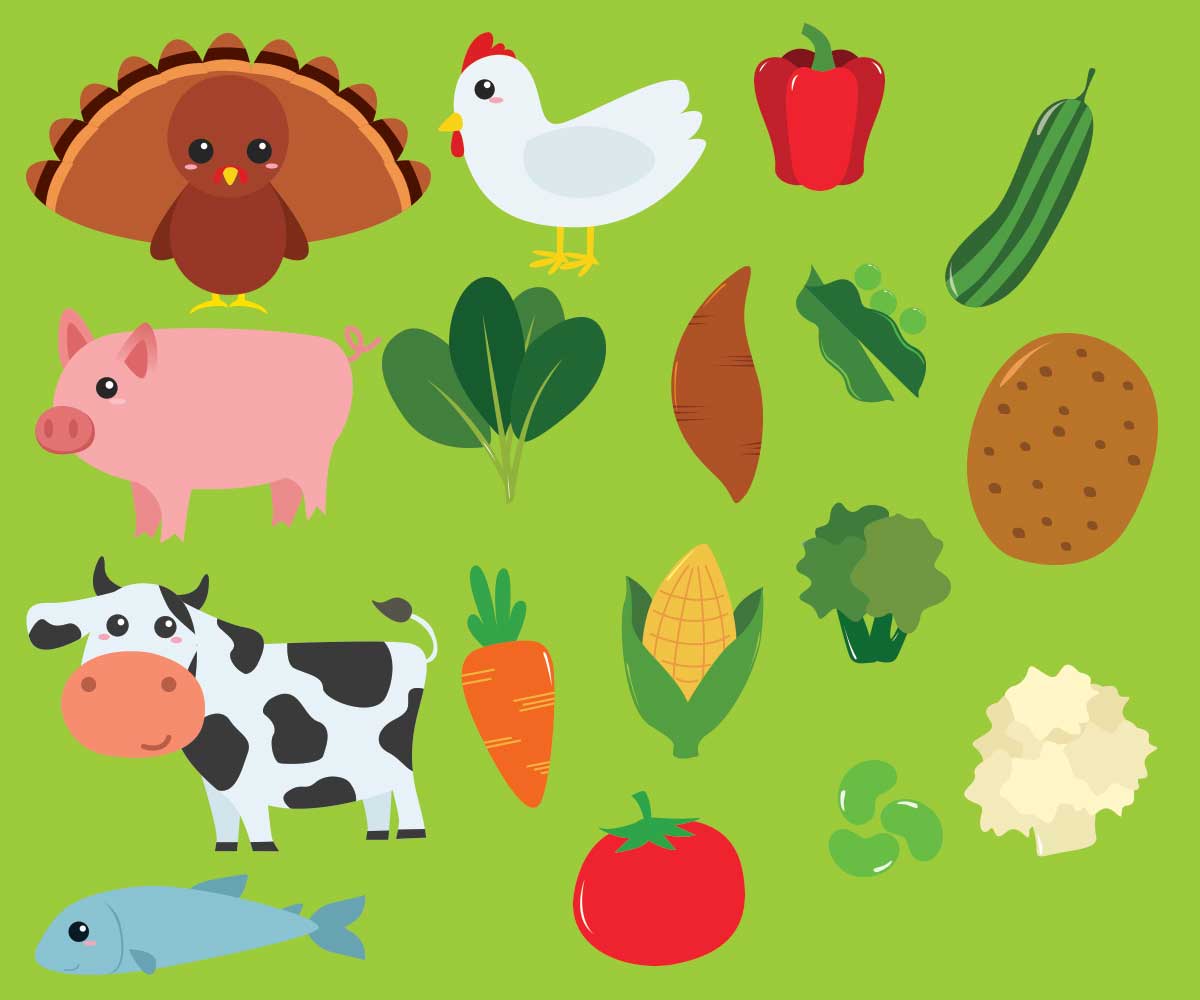 Illustration Design by saracdesigns for this project | Design #6628488