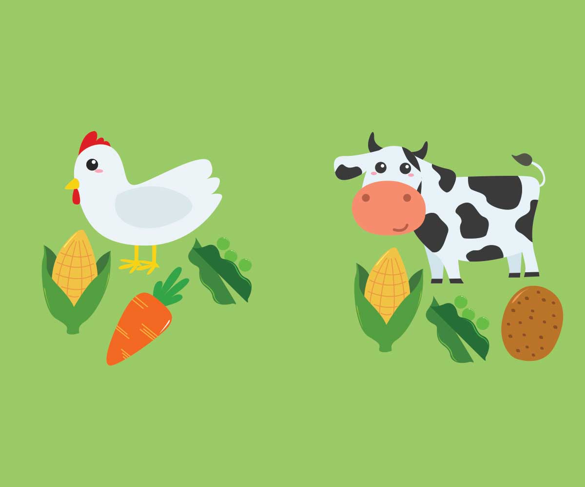 Illustration Design by saracdesigns for this project | Design #6628495