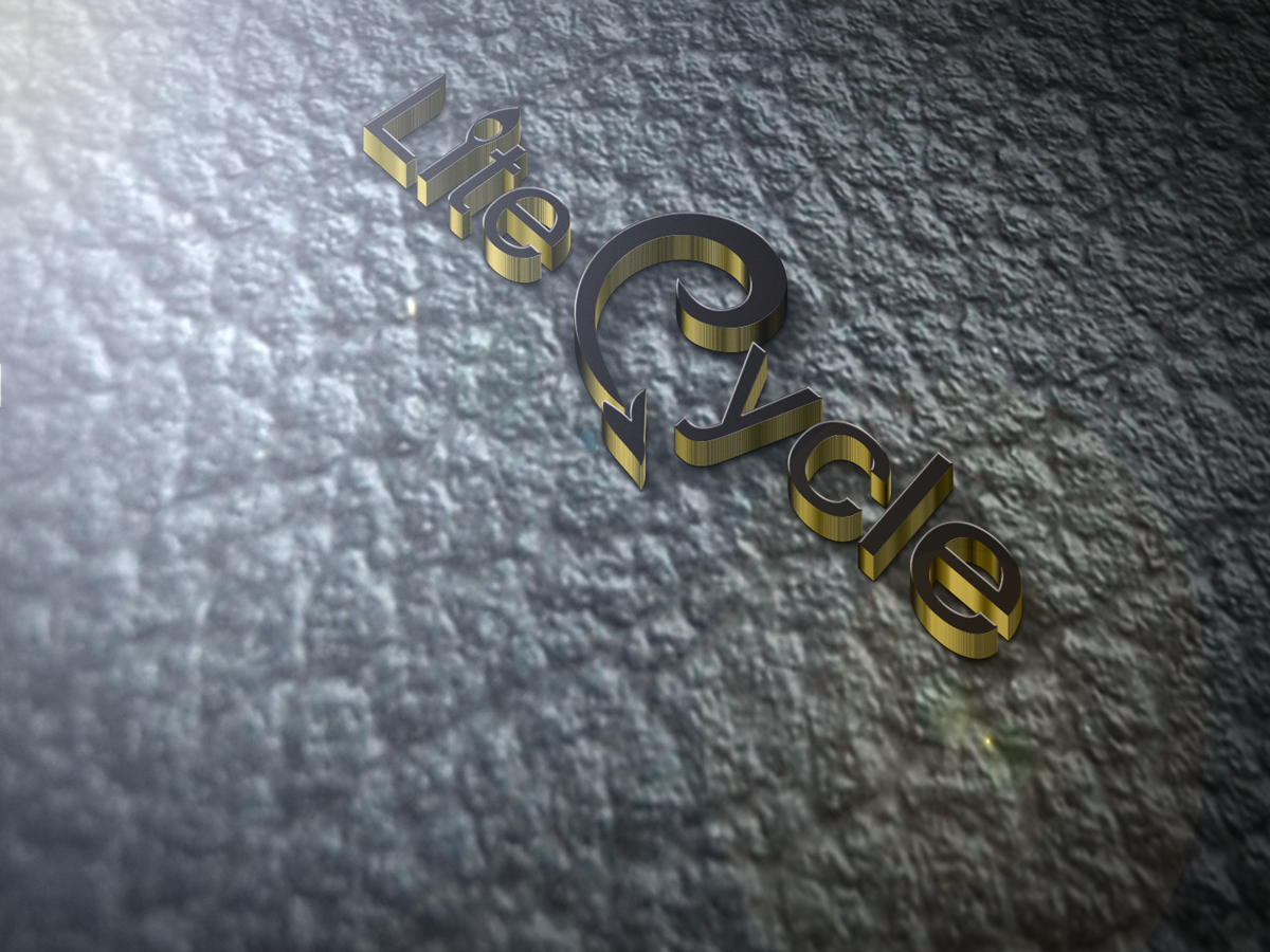 Logo Design by syedanishu03 for Lite Cycle LLC | Design #6496545