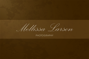 Logo Design by Million Color Designs for this project | Design: #342628