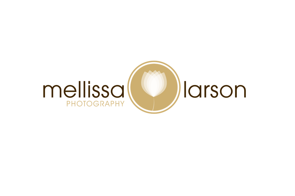 Diseño de Logo por Million Color Designs para este proyecto | Diseño #342768