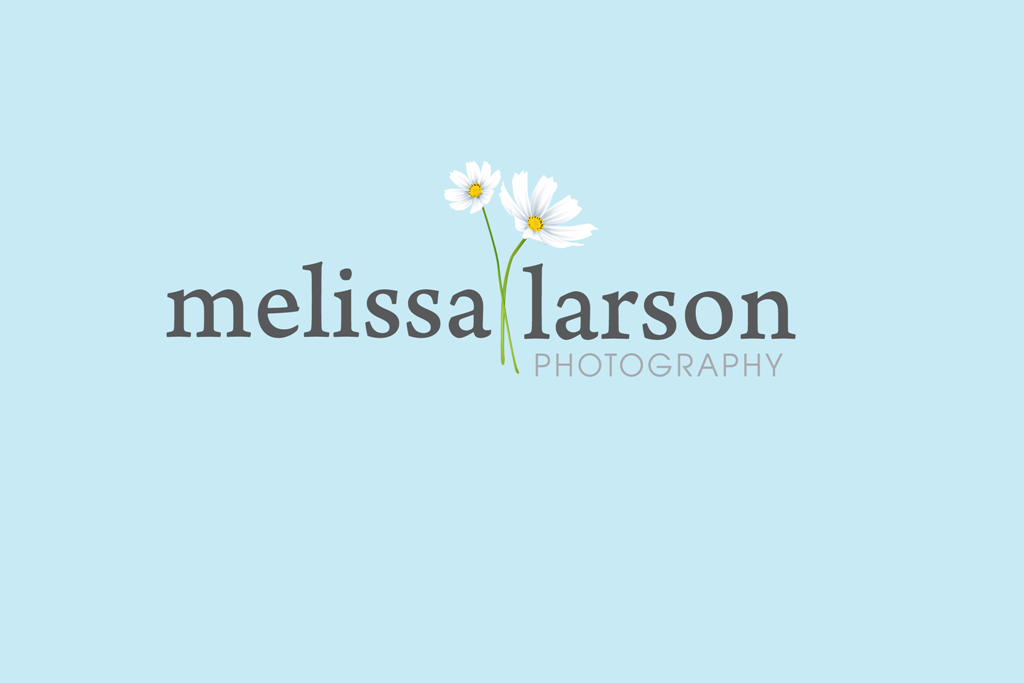 Logo Design by Million Color Designs for this project | Design #352654