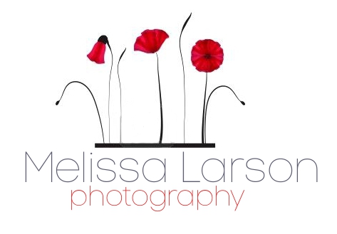 Diseño de Logo por Modine Designs para este proyecto | Diseño #345539