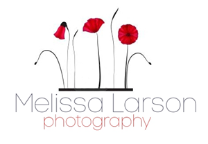 Logo Design by Modine Designs for this project | Design: #345539