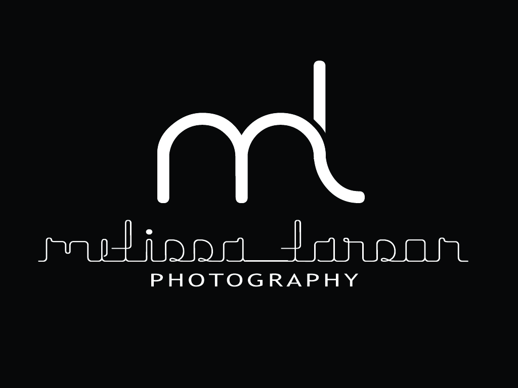 Diseño de Logo por His-P Design Studio para este proyecto | Diseño #351813