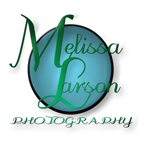 Logo Design by Brokenrecordsdesign for this project | Design: #370685