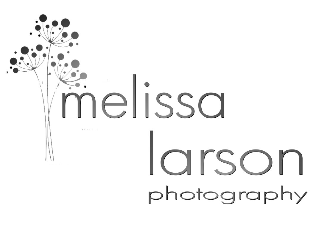 Logo Design by Brokenrecordsdesign for this project | Design #370952