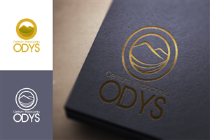 Logo Design by VIIX