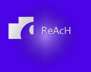 Design de Logo par iDianadiana pour Reach Technology Solutions Limited | Design : #6946438