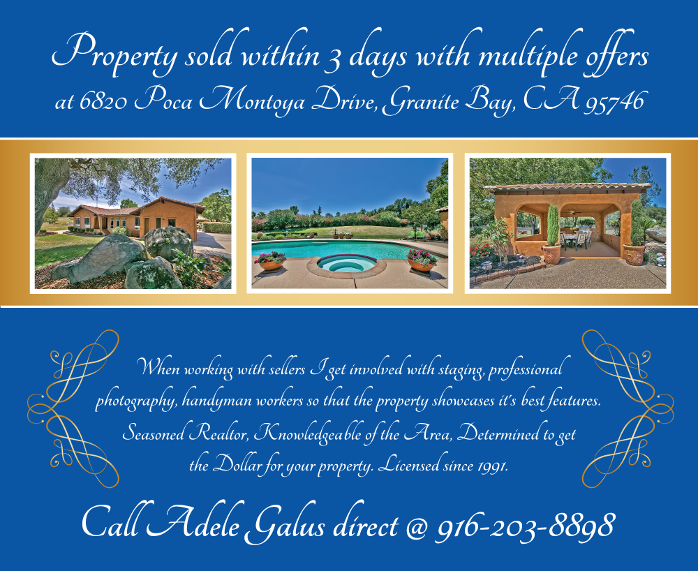 Postcard Design by raluca.b for this project | Design #6491549