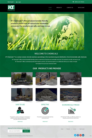 Web Design by pb for this project | Design: #6544130