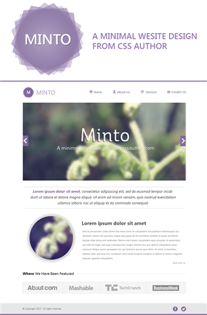Web Design by Rosc