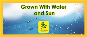 Label Design by RAJENDRA