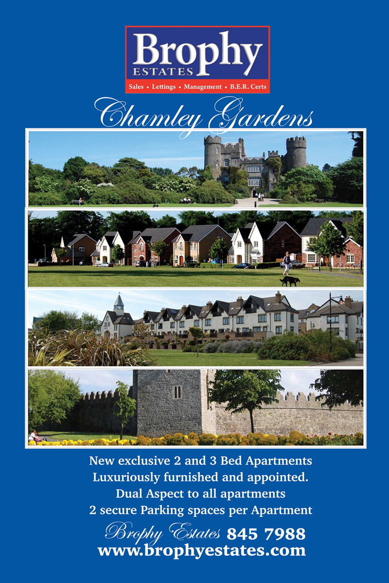 Poster Design by Einder for this project | Design #6499375