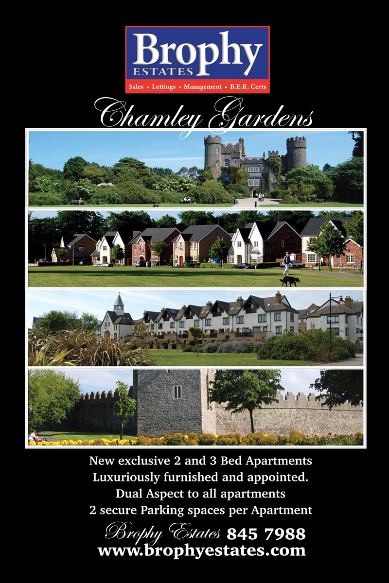 Poster Design by Einder for this project | Design #6499409