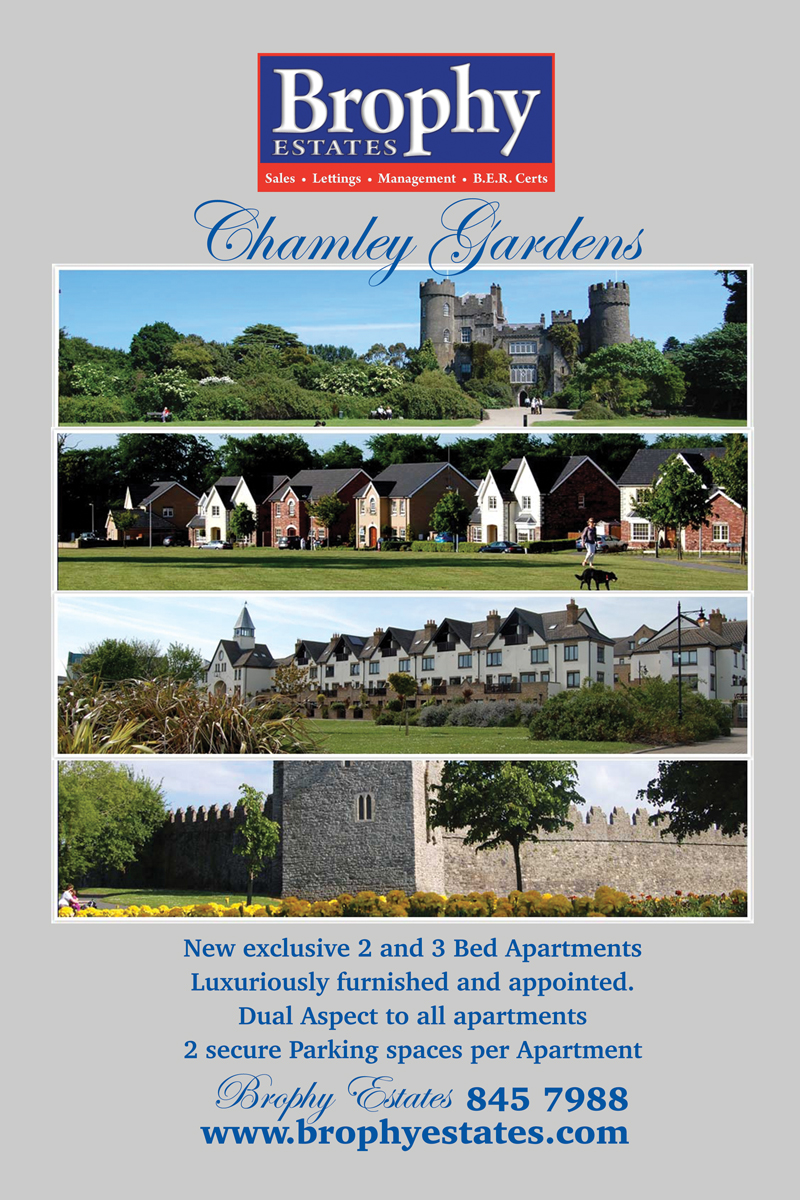 Poster Design by Einder for this project | Design #6499445