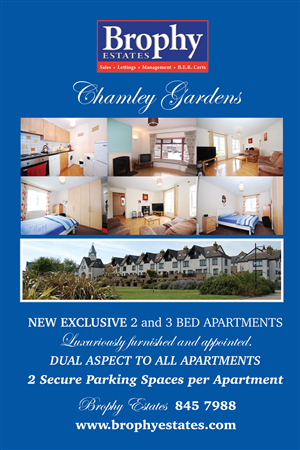 Poster Design by Einder for this project | Design: #6499661