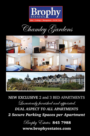 Poster Design by Einder for this project | Design: #6499687