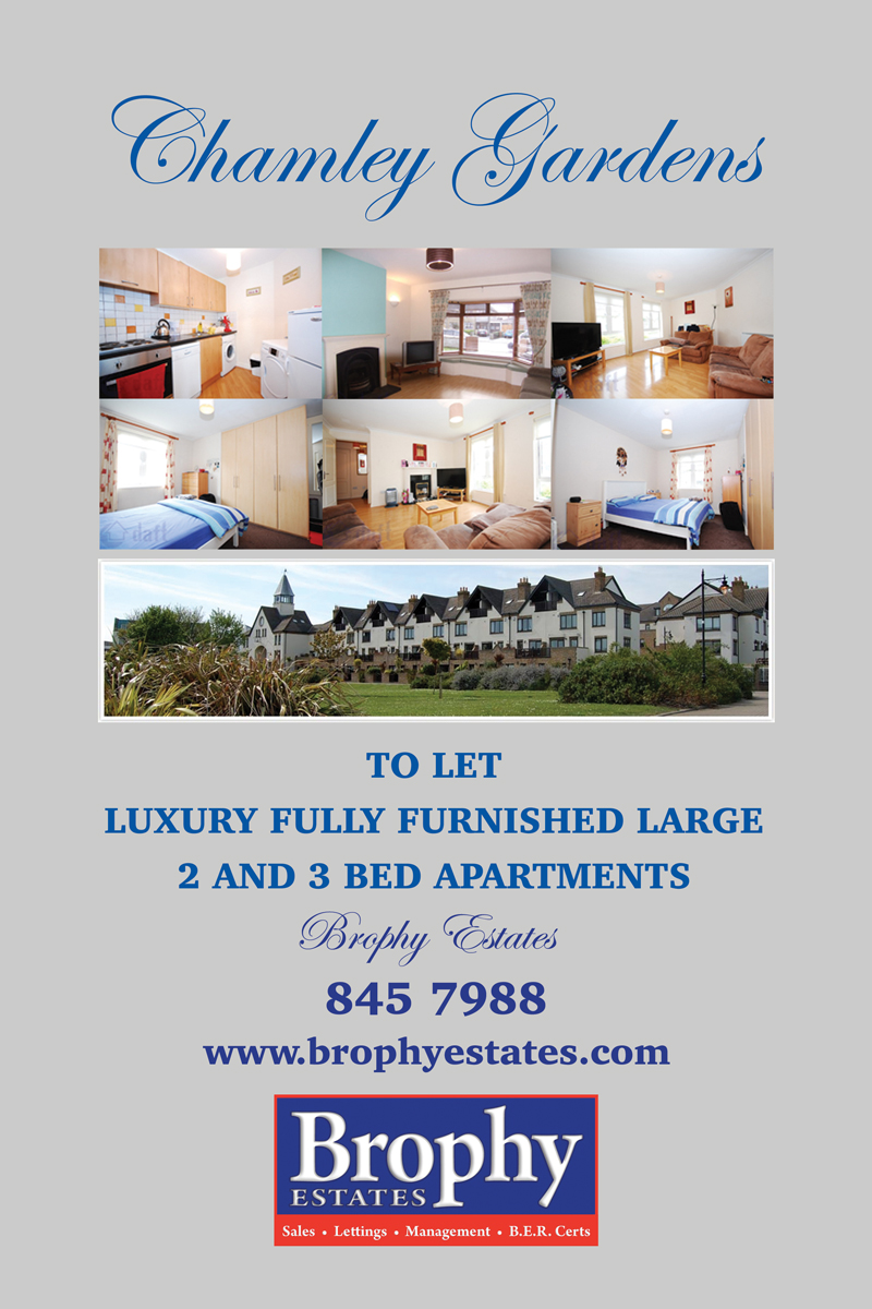 Poster Design by Einder for this project | Design #6517581