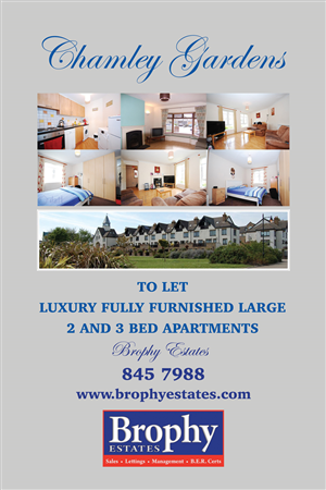 Poster Design by Einder for this project | Design: #6517581