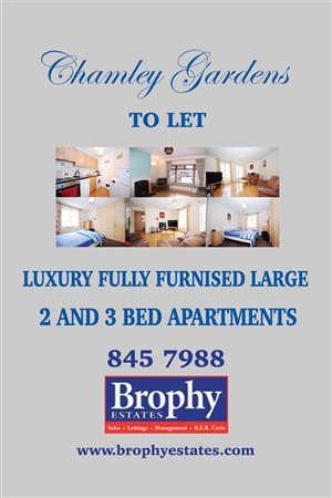 Poster Design by Einder for this project | Design: #6523247