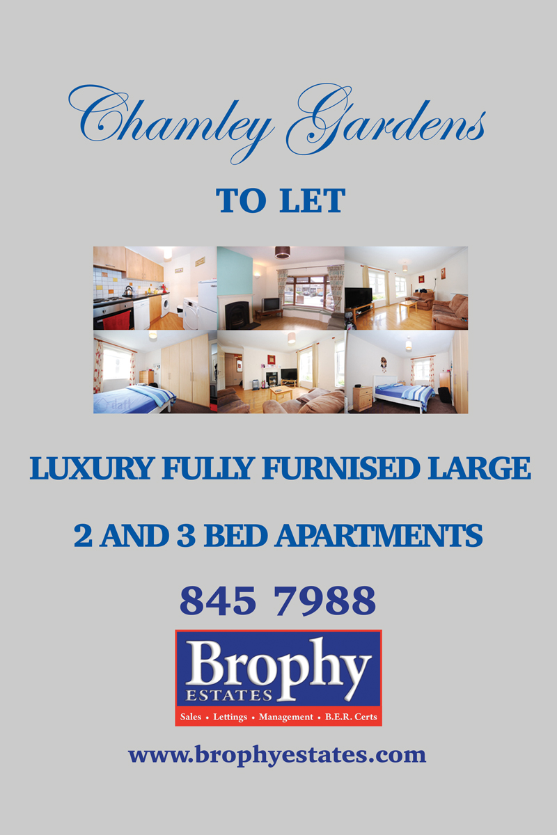 Poster Design by Einder for this project | Design #6523276