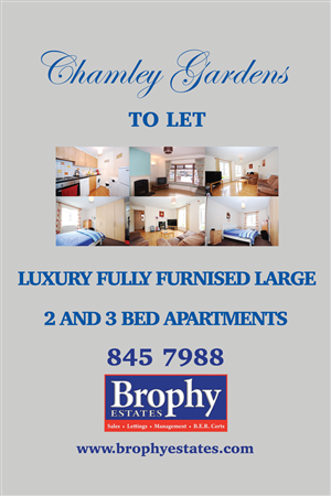 Poster Design by Einder for this project | Design: #6523276