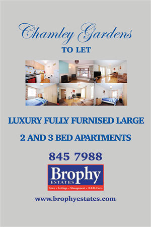 Poster Design by Einder for this project | Design: #6523342